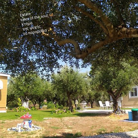 Bungalows With Private Pools "Tales Of The Soul - Της Ψυχής Τα Παραμύθια" Anemochori エクステリア 写真