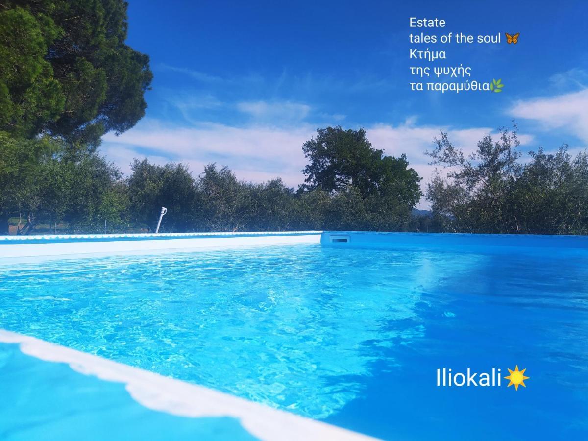 Bungalows With Private Pools "Tales Of The Soul - Της Ψυχής Τα Παραμύθια" Anemochori エクステリア 写真