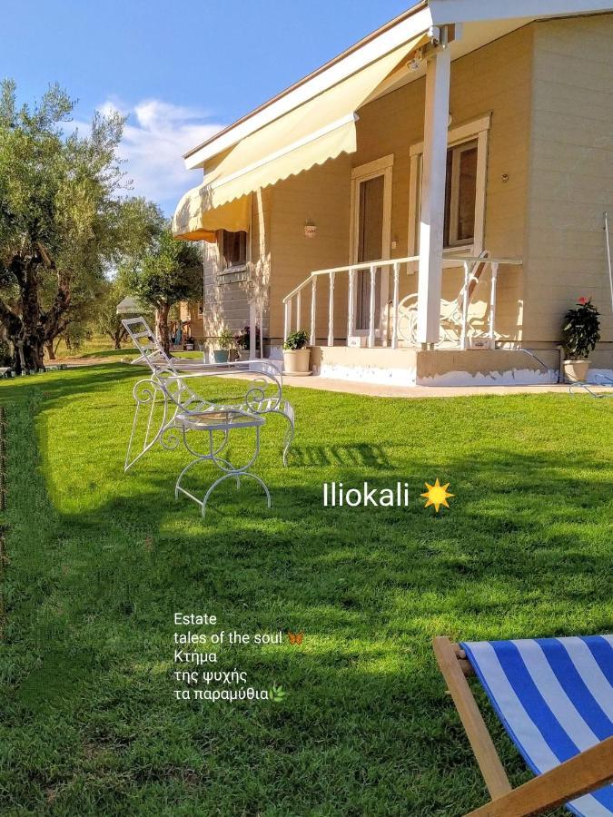 Bungalows With Private Pools "Tales Of The Soul - Της Ψυχής Τα Παραμύθια" Anemochori エクステリア 写真